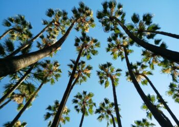 Villa Investments in Spain: Risk Assessment, Payment Structures, and Buyer Protection