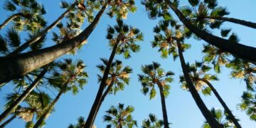 Villa Investments in Spain: Risk Assessment, Payment Structures, and Buyer Protection