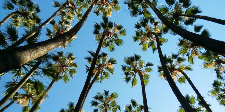 Villa Investments in Spain: Risk Assessment, Payment Structures, and Buyer Protection